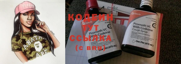 хмурый Белокуриха