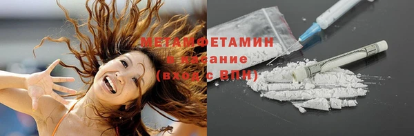 метадон Богданович