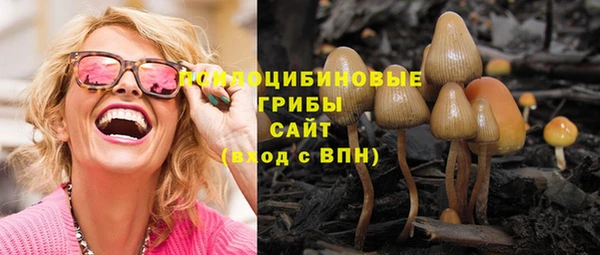 метадон Богданович